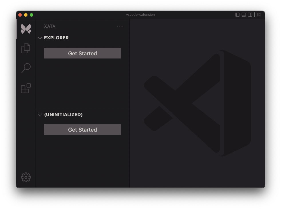 Setup view for the VSCode Extension