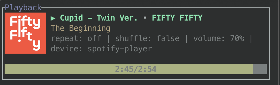 spotify_tui_playback