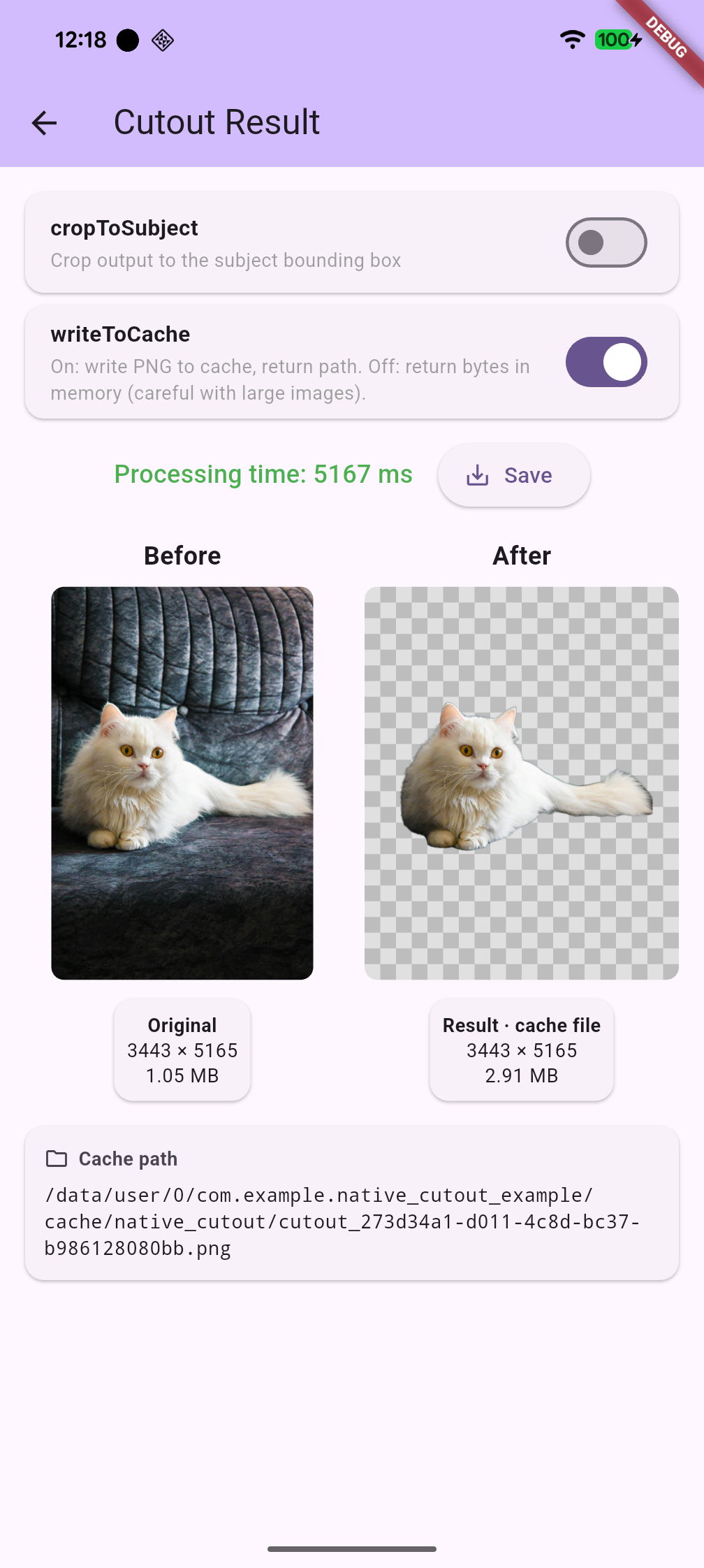 Cutout result with cropToSubject and writeToCache toggles