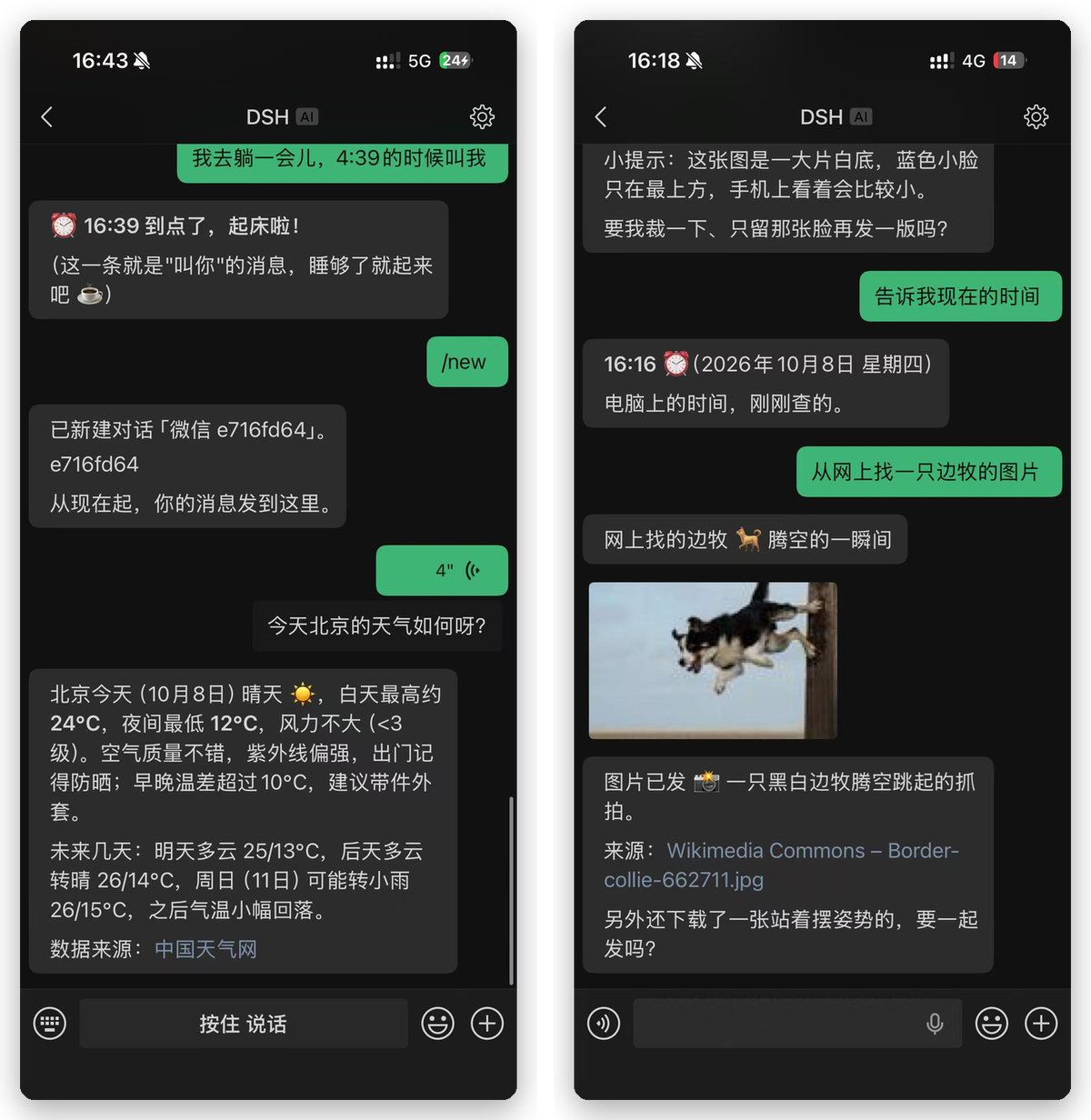 Voice control, and the agent sending back a picture
