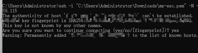 image-20260206205220498