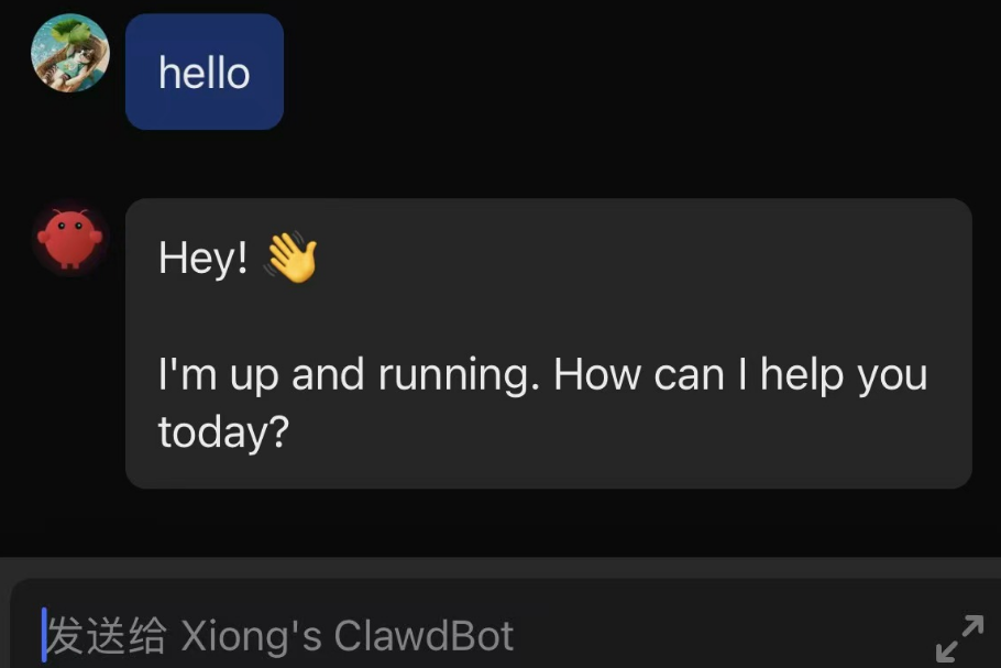 image-20260206213305880