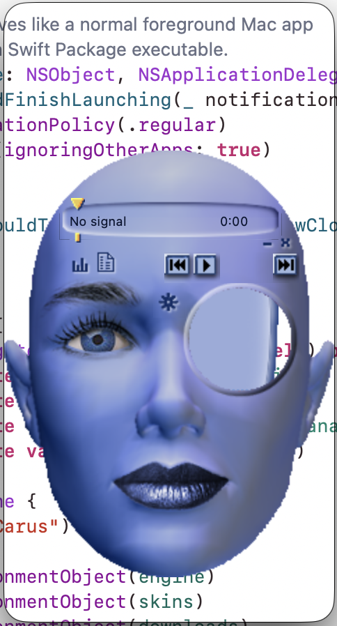 iCarus custom interface example