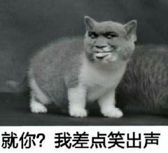 image-20220126230732501