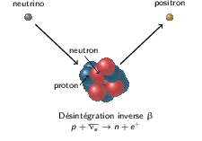 inverse_beta_decay.png