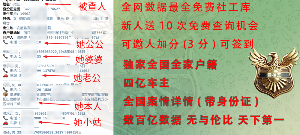 查档王免费社工库