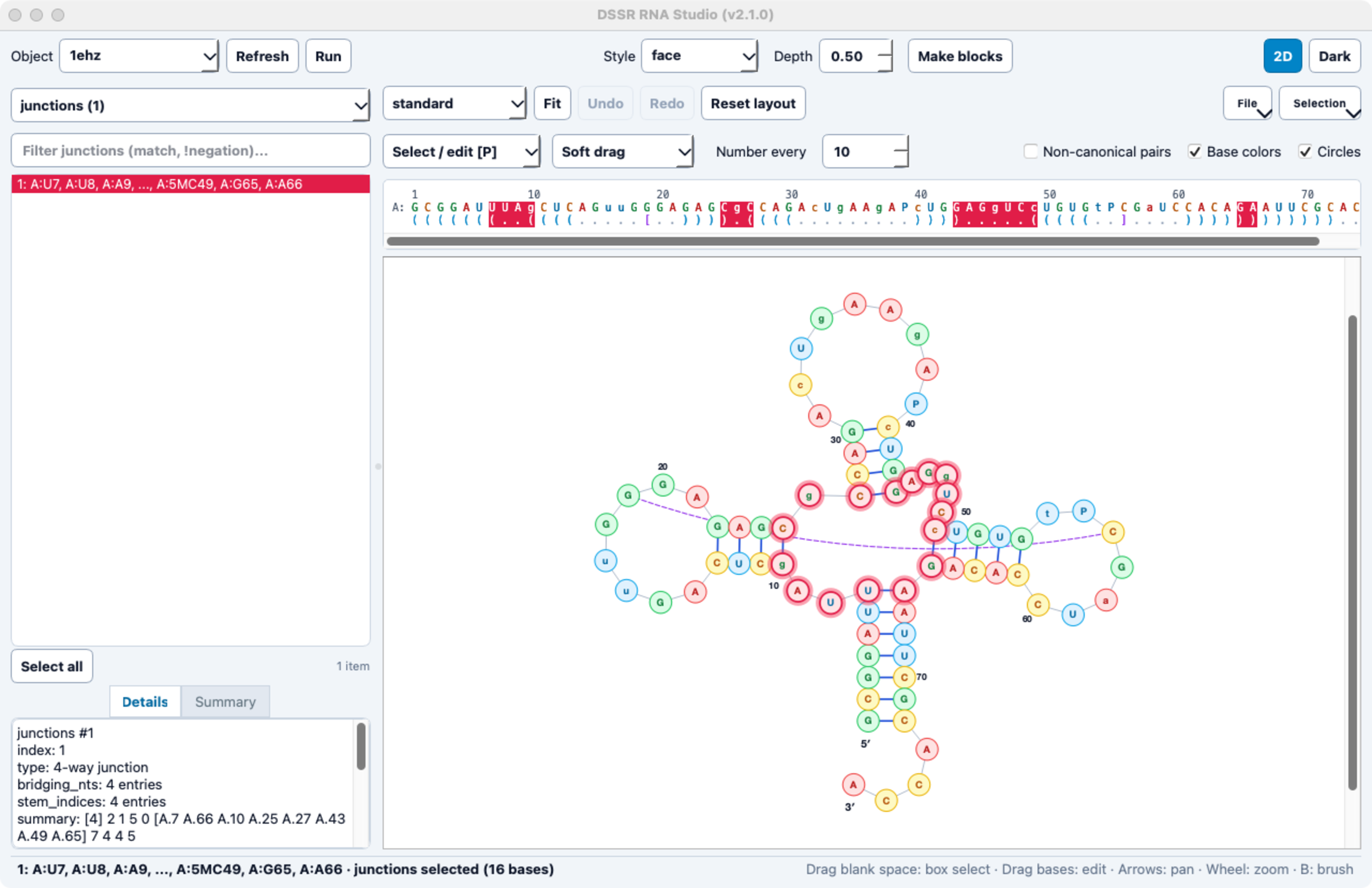 DSSR RNA Studio Interface