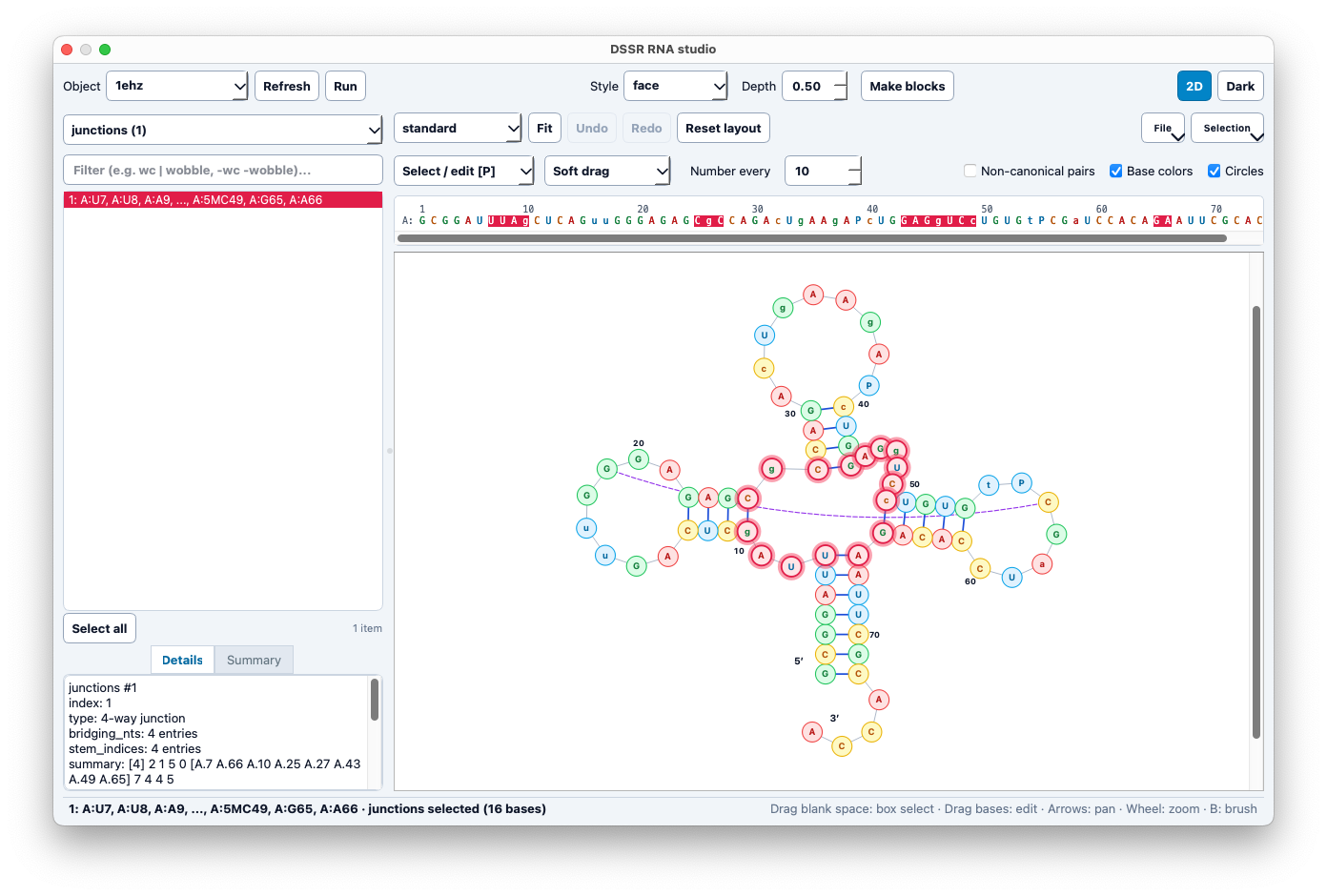 DSSR RNA Studio Interface