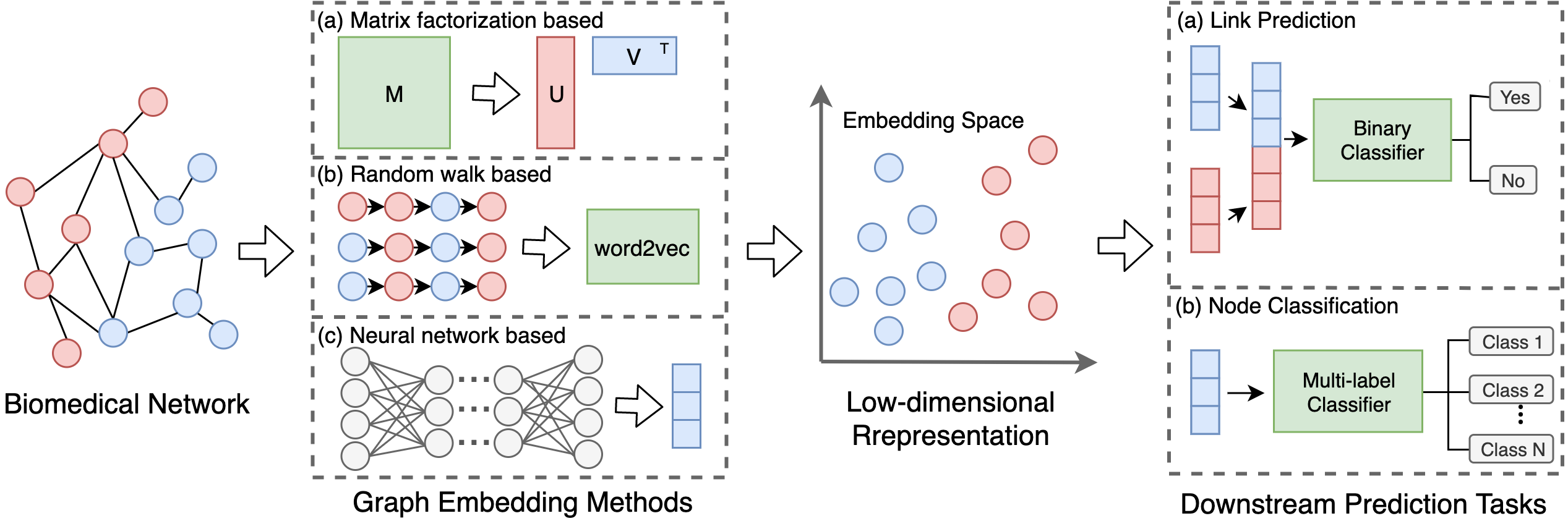 BioNEV : Infrastructure for AI for Science | SciencePedia