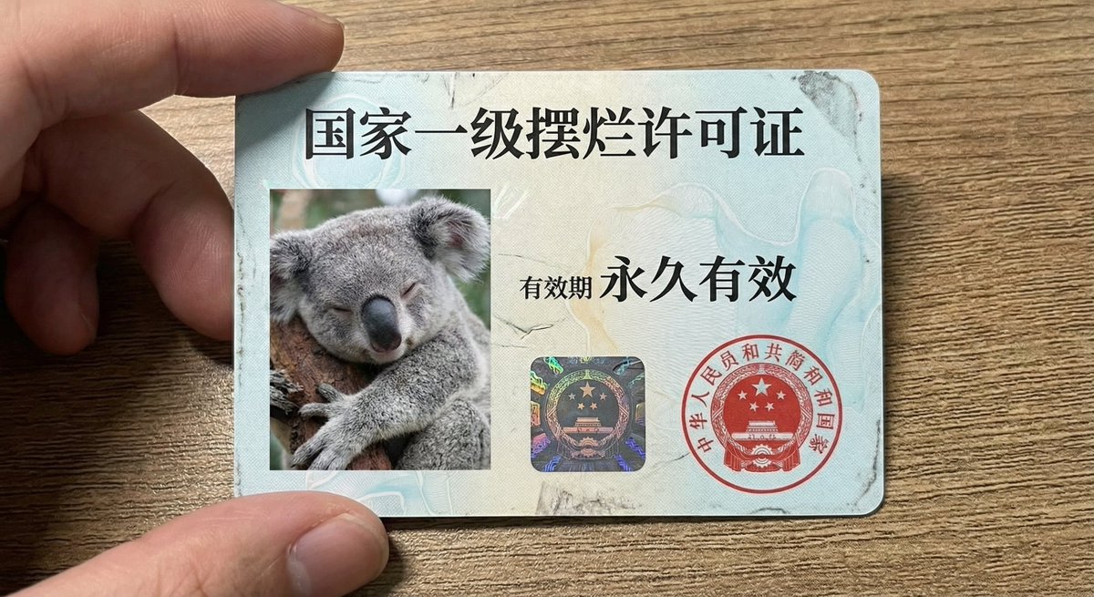 一张像驾照一样的证件卡片特写,证件照是一只睡着的考拉。证件名称写着:“国家一级摆烂许可证”。有效期写着:“永久有效
