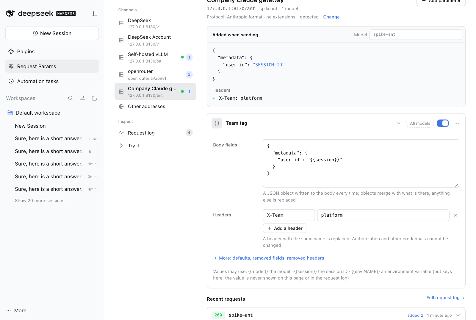 A custom parameter on an enterprise gateway channel: the preview shows the metadata field and the X-Team header it adds, and a recent request shows both were sent