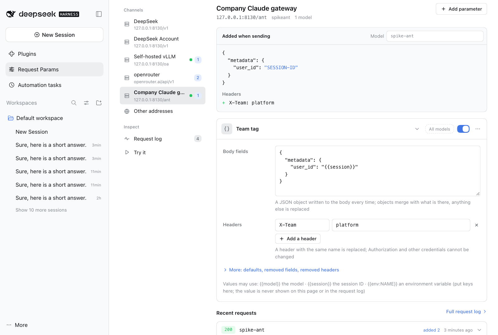 A custom parameter on an enterprise gateway channel: the preview shows the metadata field and the X-Team header it adds, and a recent request shows both were sent