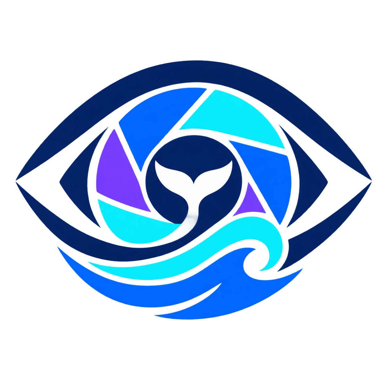 dsh-vision logo
