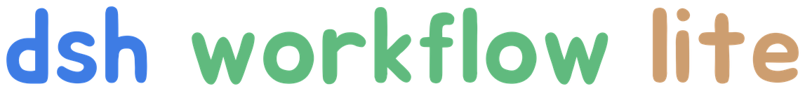 dsh-workflow-lite
