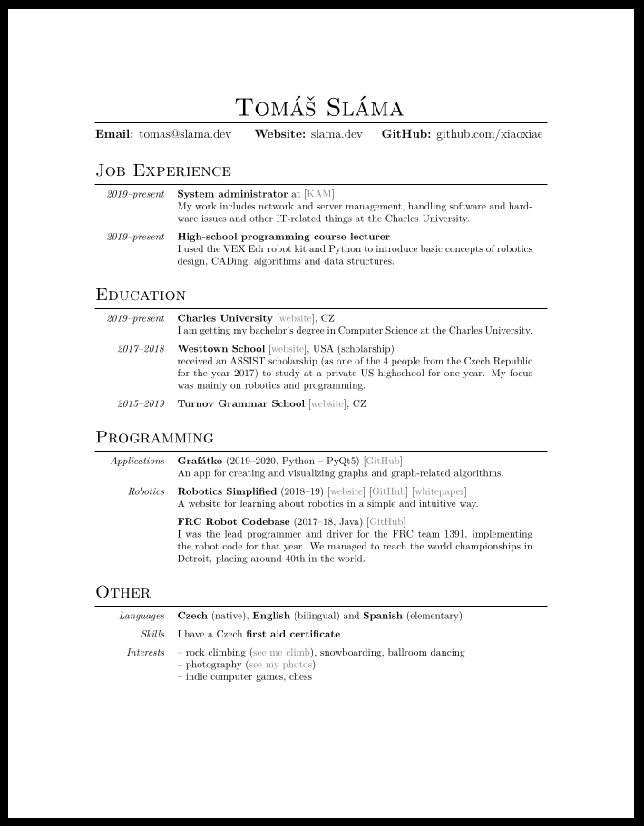 A preview of a generated CV.