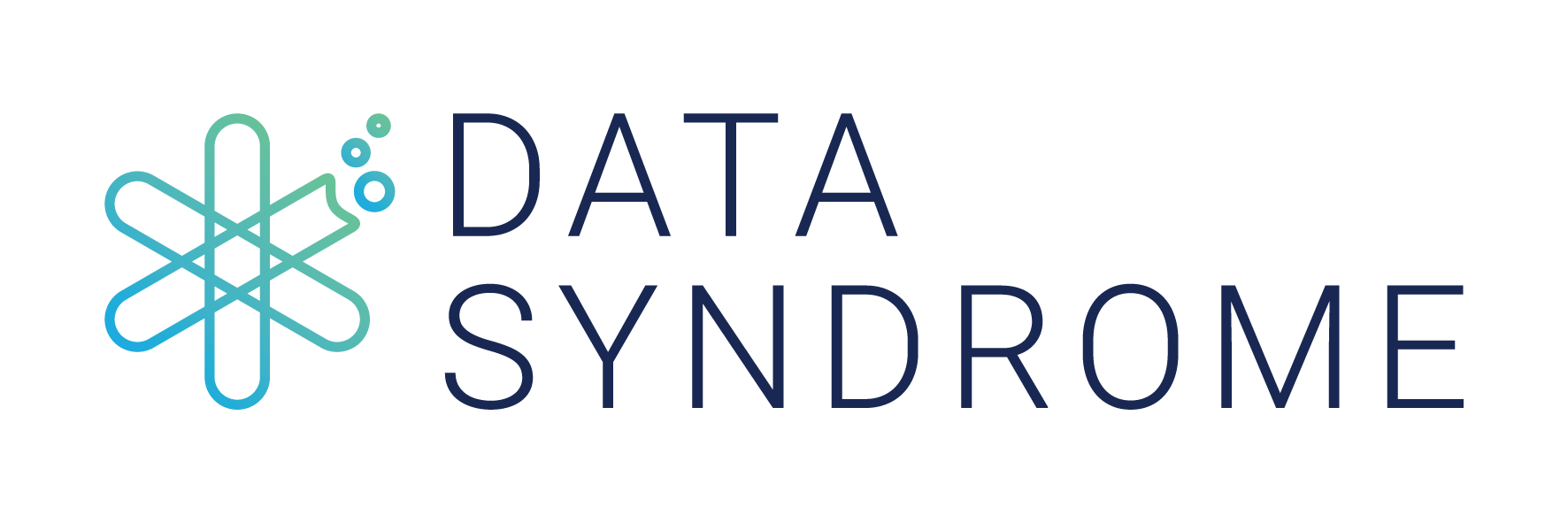 Data Syndrome Logo
