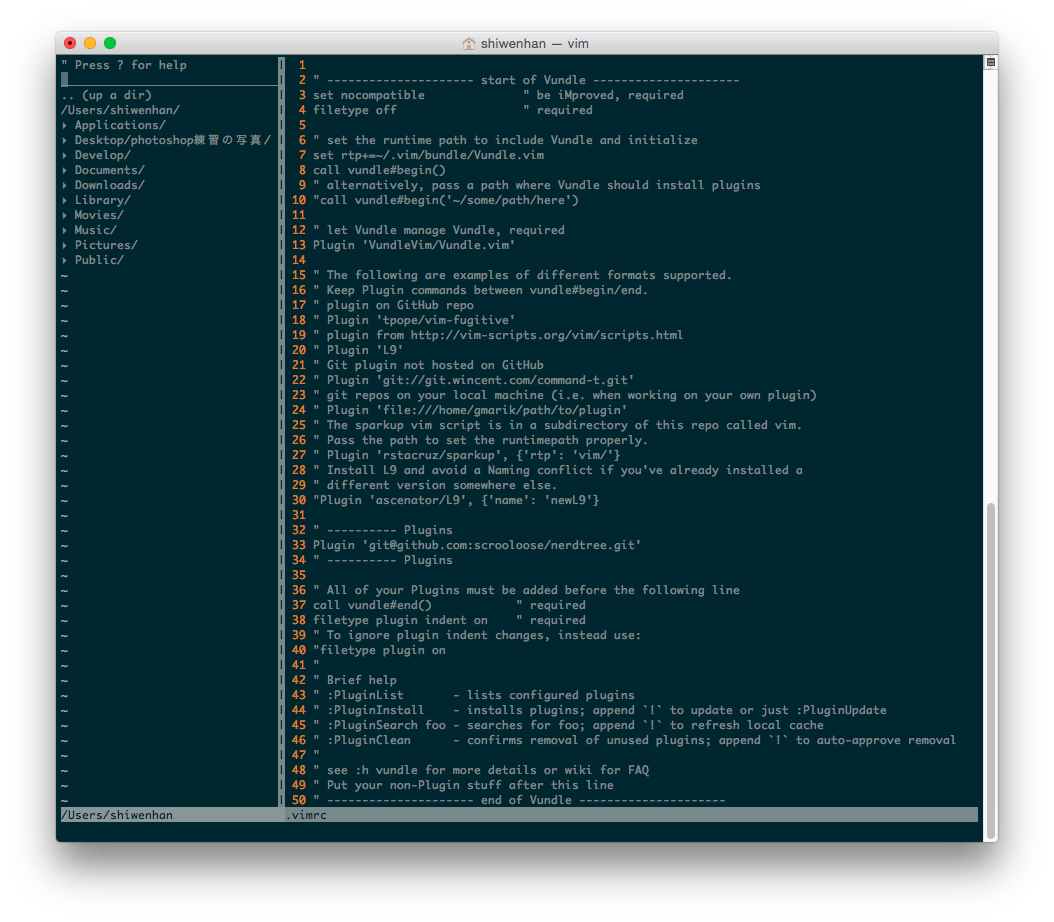 vim with NERDTree