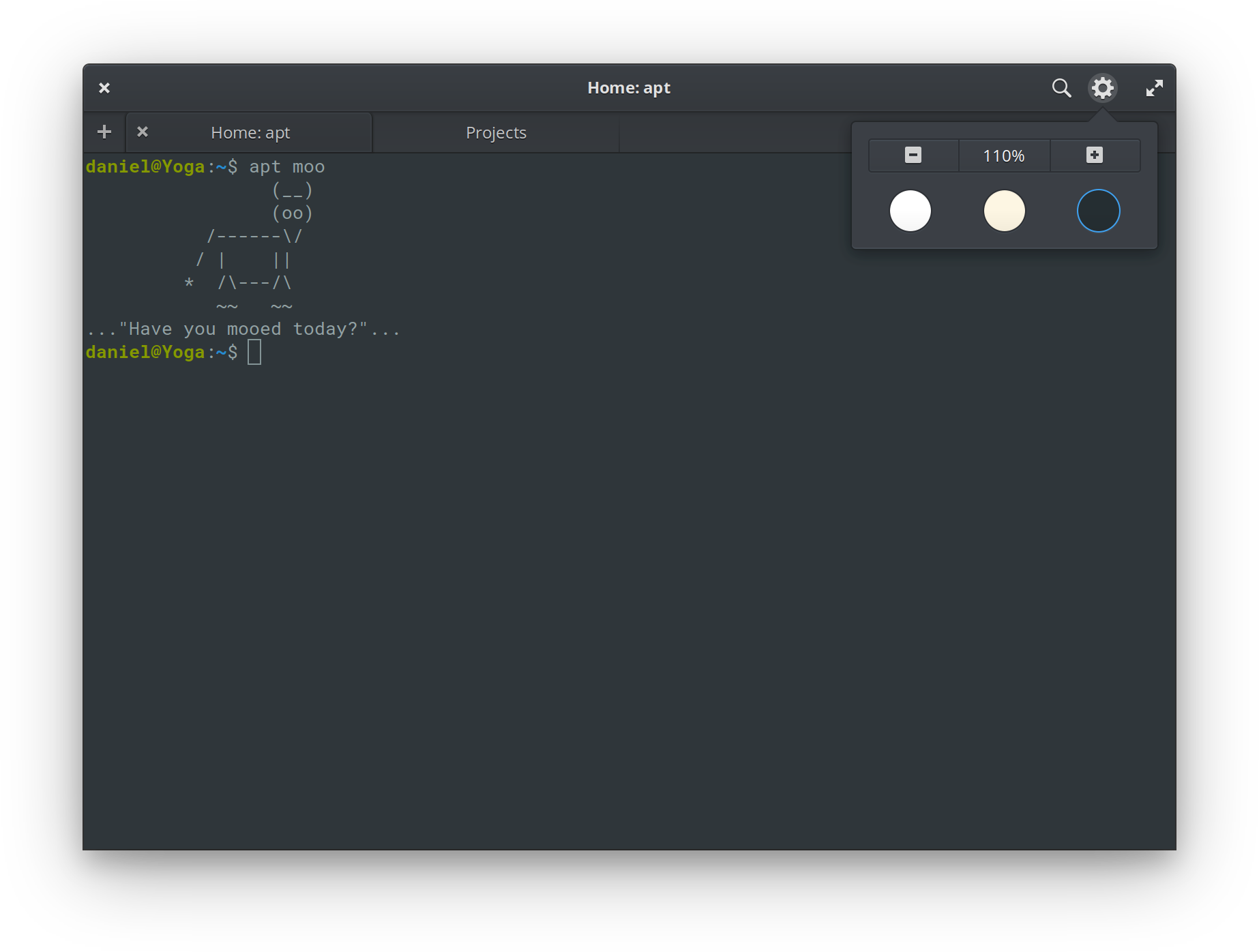 Terminal Screenshot