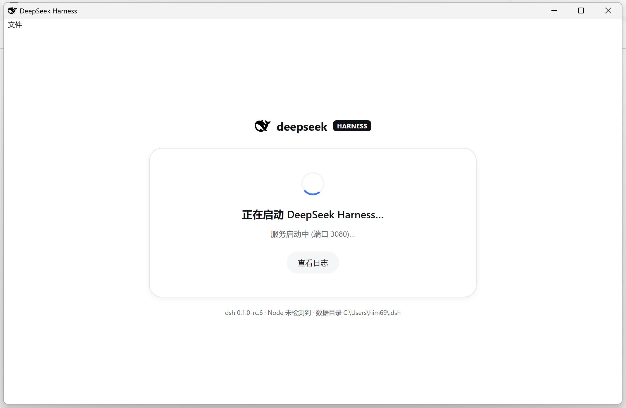 启动页：dsh 服务启动中