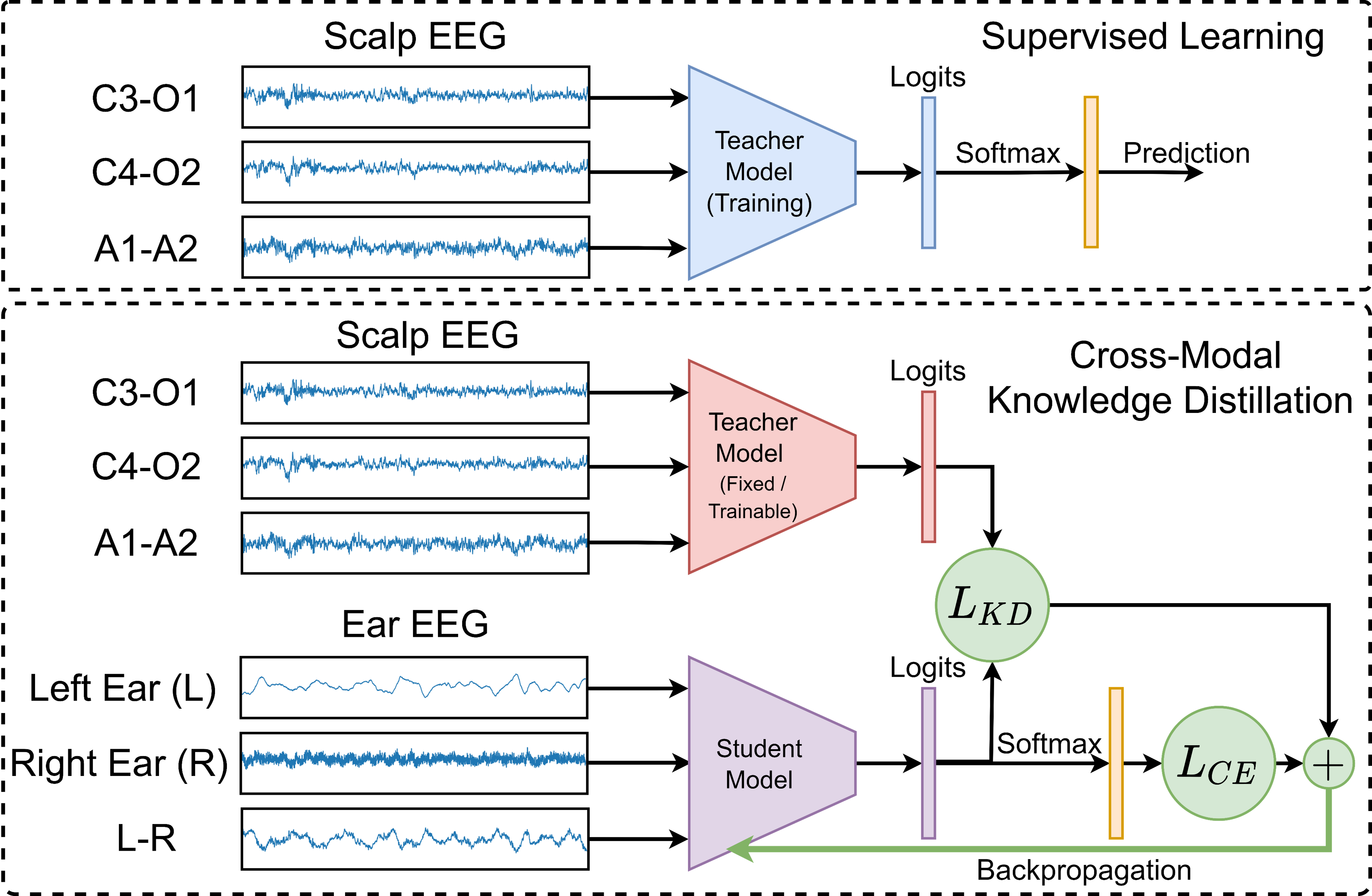 cross modal distillation.png