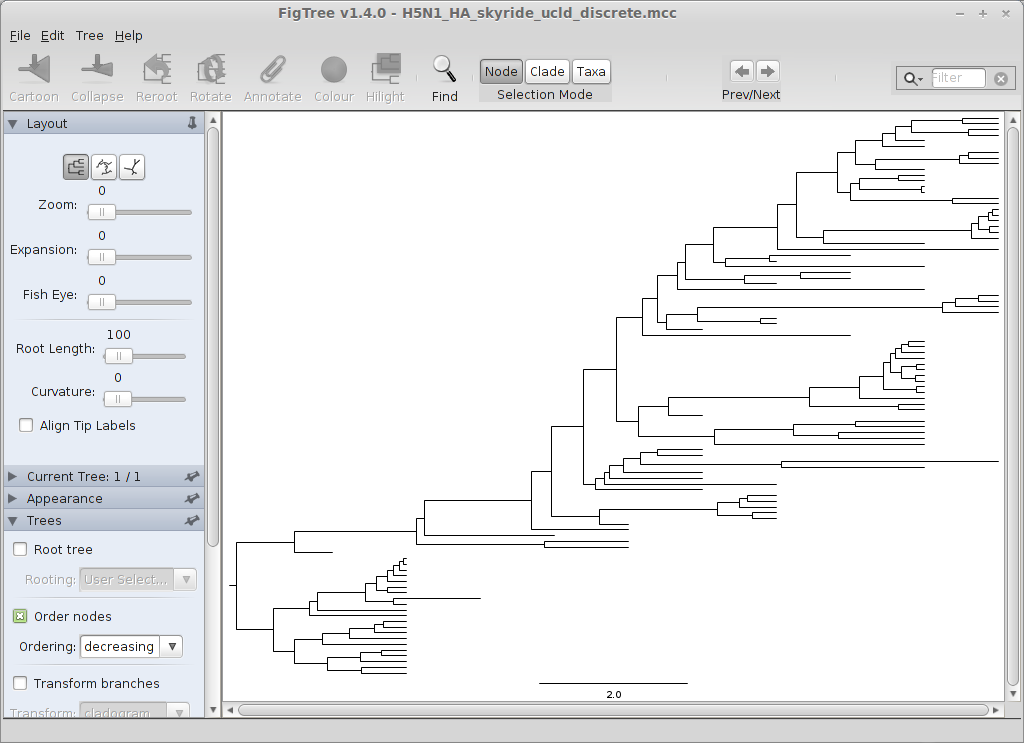 figtree_mcc_reordered