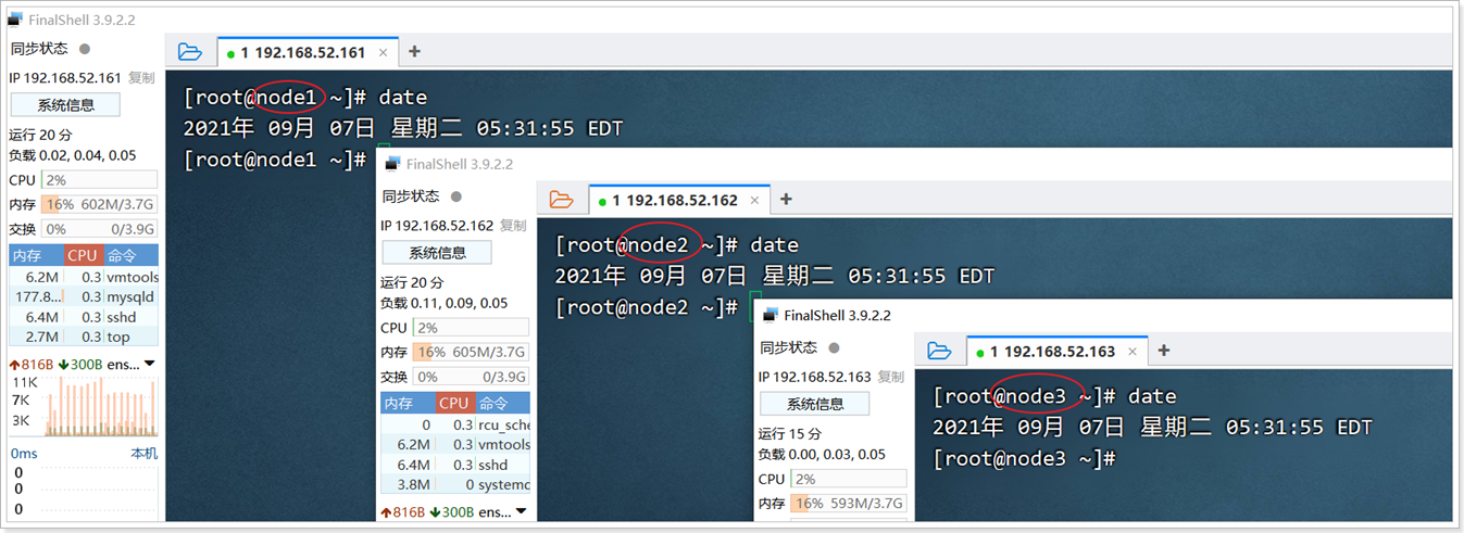 image-20240603105642291