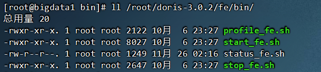 image-20241126022036307