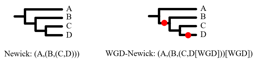 Red dots are WGD signal