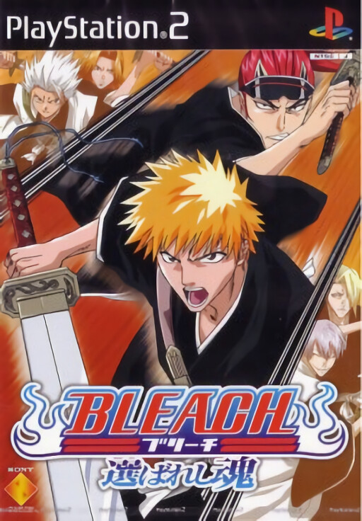 Bleach: Erabareshi Tamashii