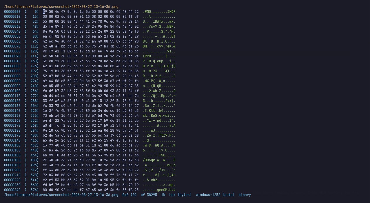 Hex viewer showing a PNG header, byte offsets and ASCII