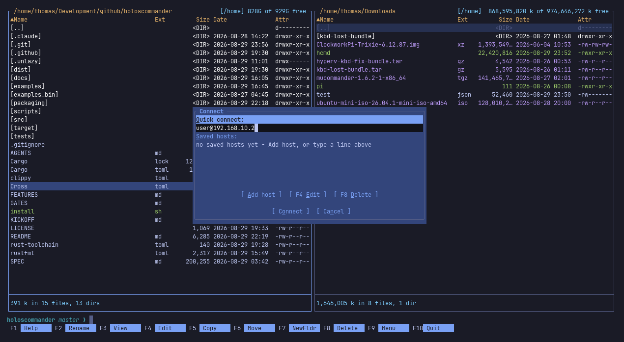 Remote connection dialog with quick connect and saved hosts