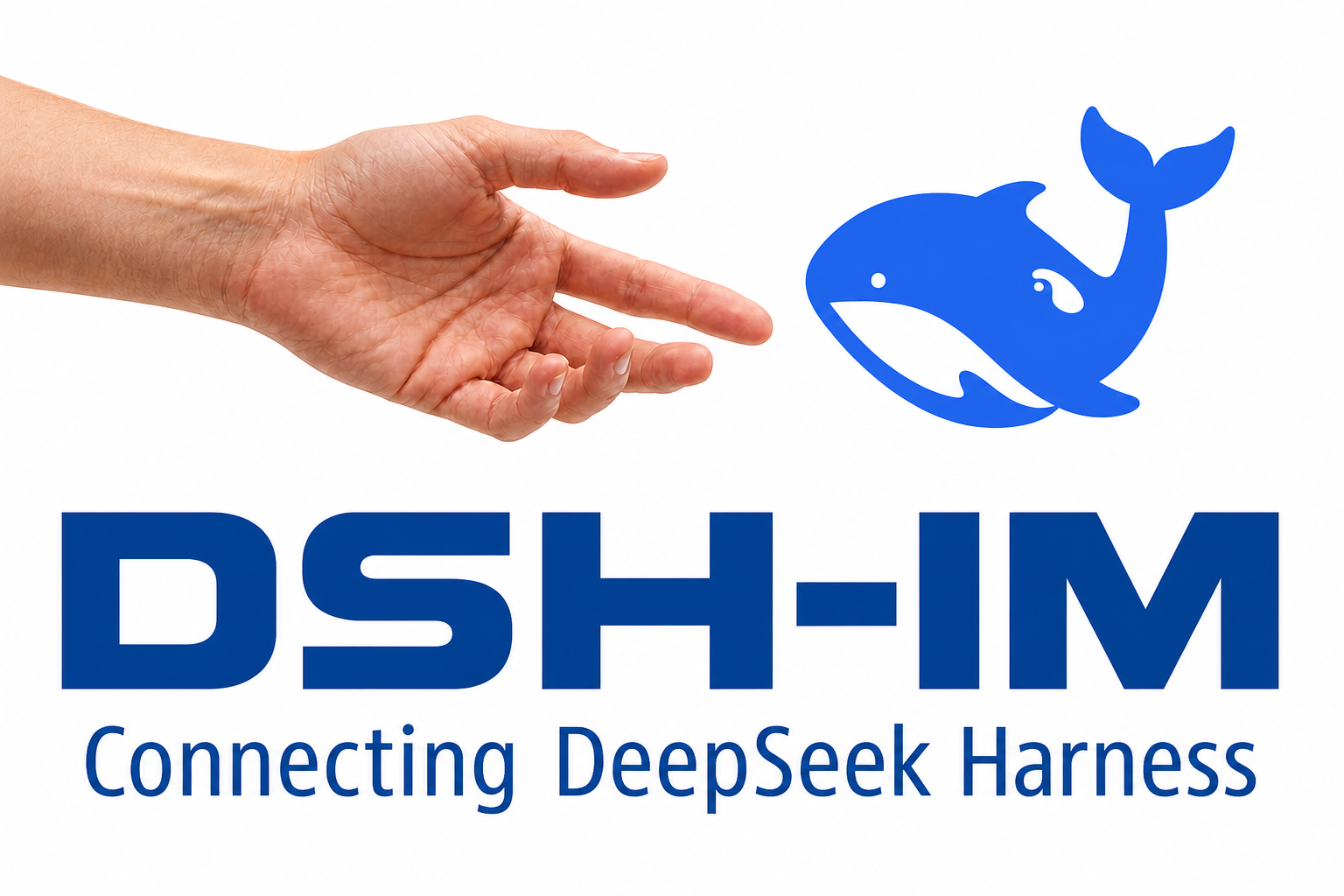DSH-IM — Connecting DeepSeek Harness
