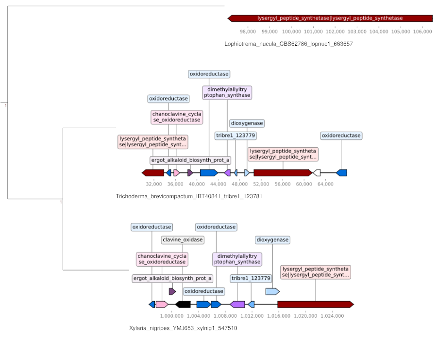 Extracted clade of CRAP pipeline
