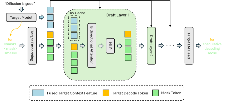 DFlash 추론 설계: 목표 모델에서 추출한 숨겨진 컨텍스트 특성이 각 초안 레이어의 Key-Value 캐시에 주입되는 구조