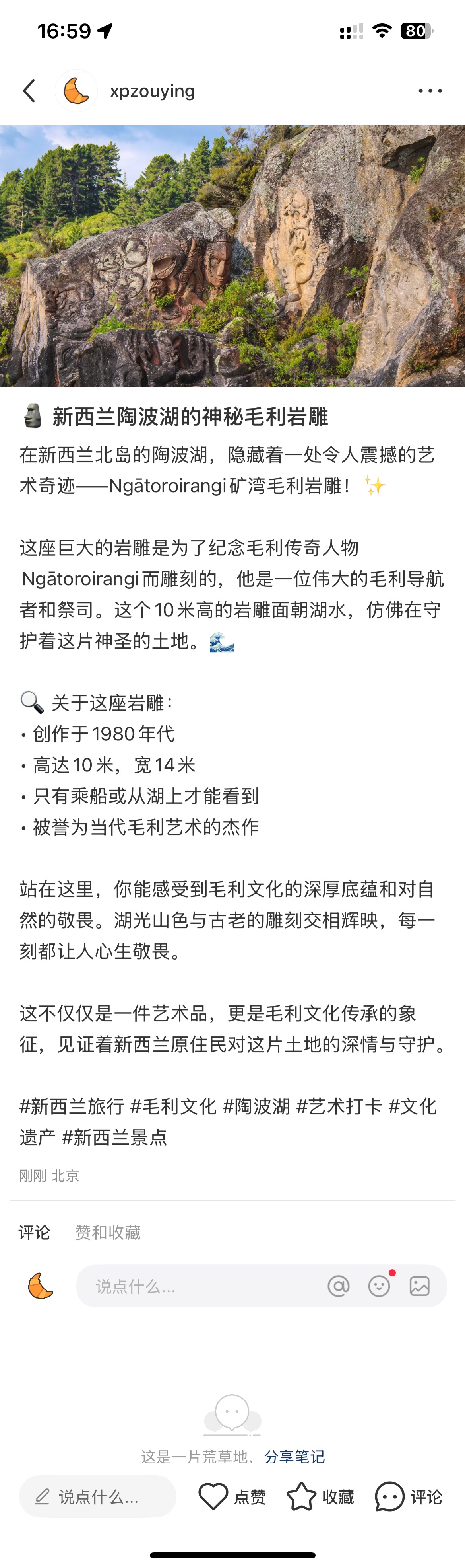 xiaohongshu-mcp 发布结果