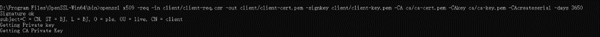 image-20231210155031917