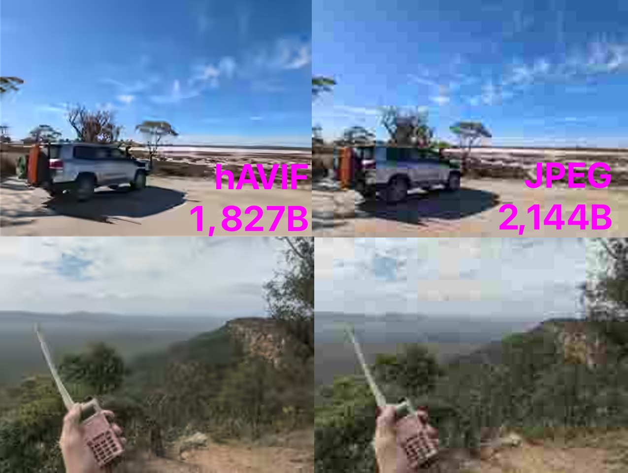 Side by side comparison of hAVIF vs JPEG. hAVIF showing a lot less pixalation