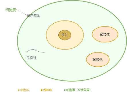 生物·细胞结构