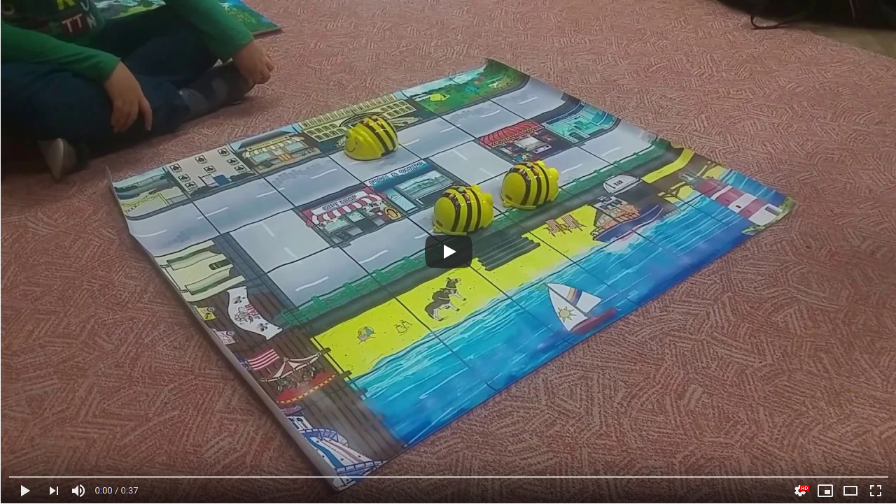 BeeBot video