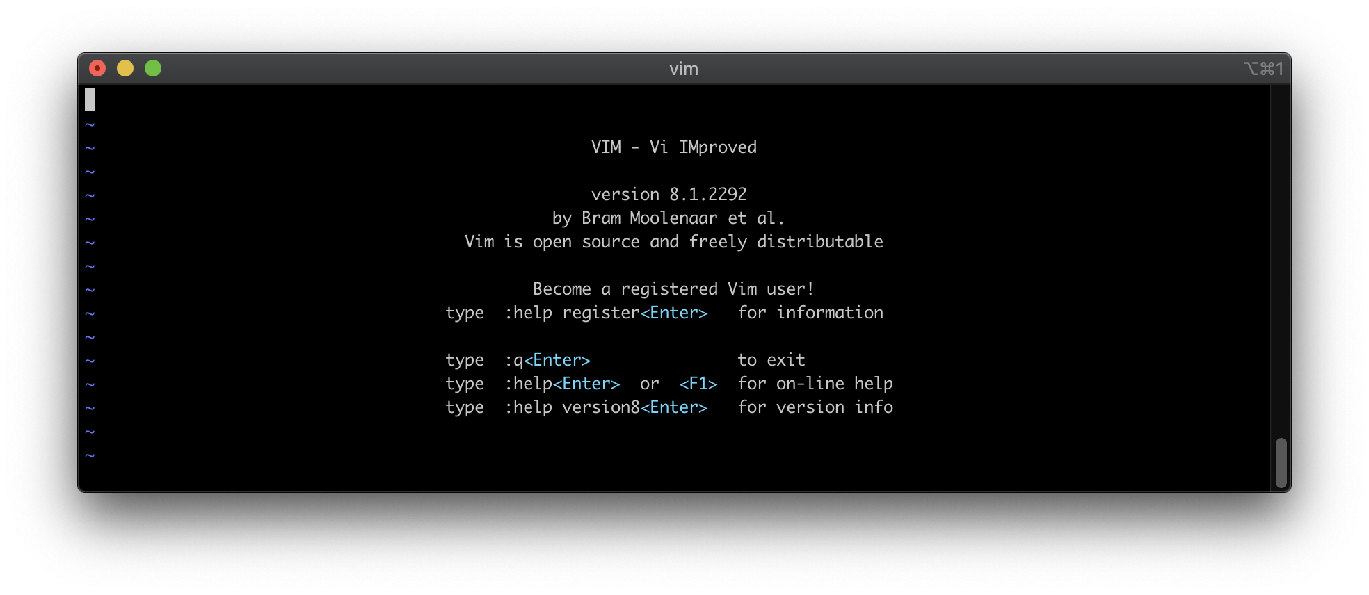 Не работает vim linux