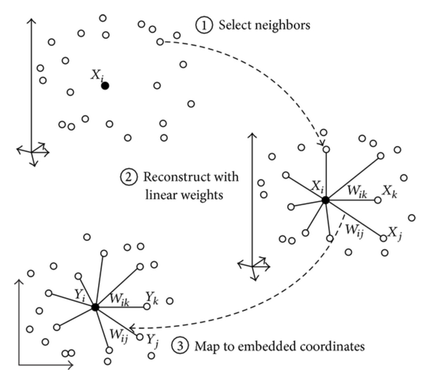 Local linear embedding