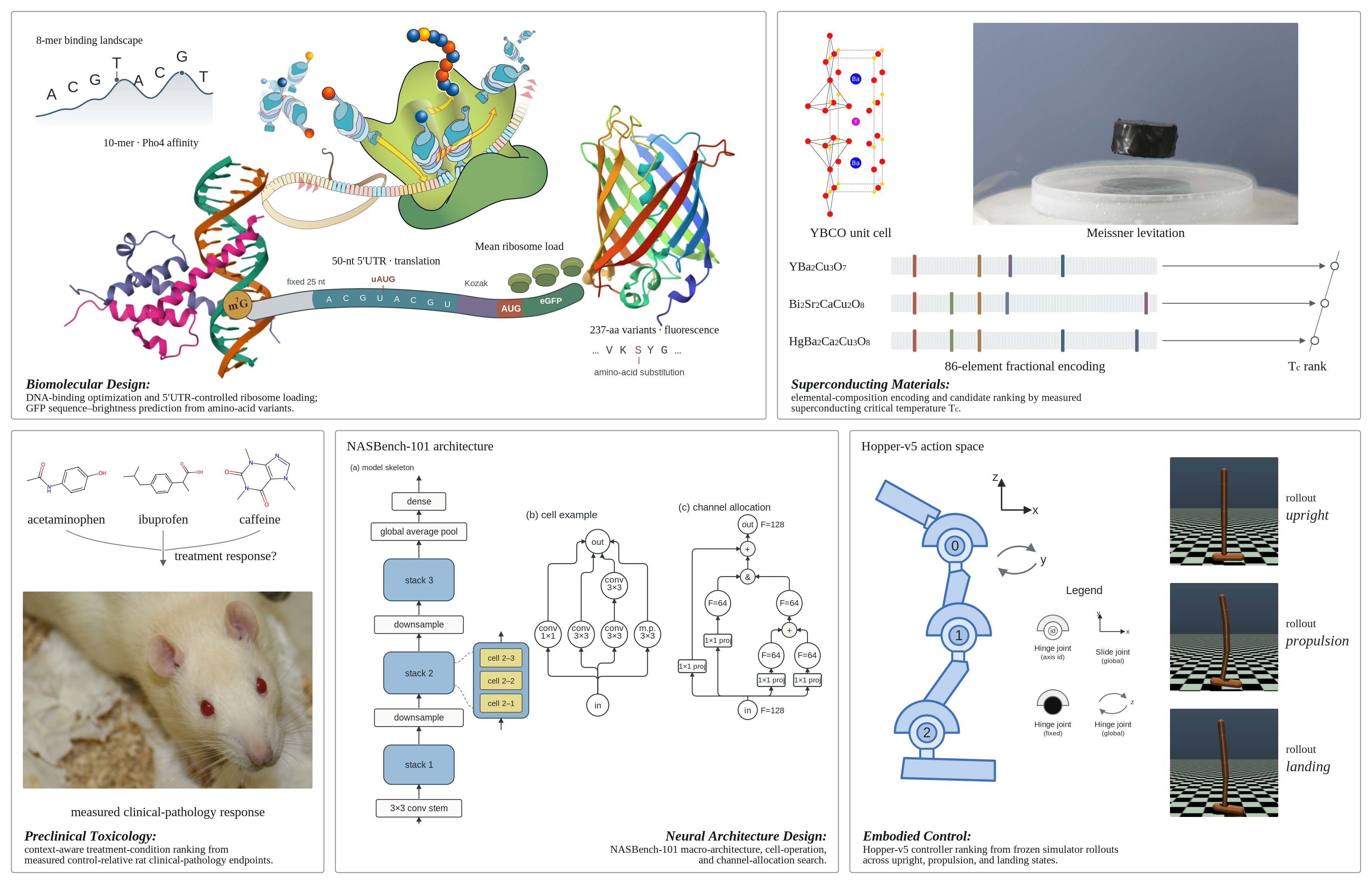 SciModelingBench task overview: biomolecular design, superconducting materials, preclinical toxicology, neural architecture design, and embodied control