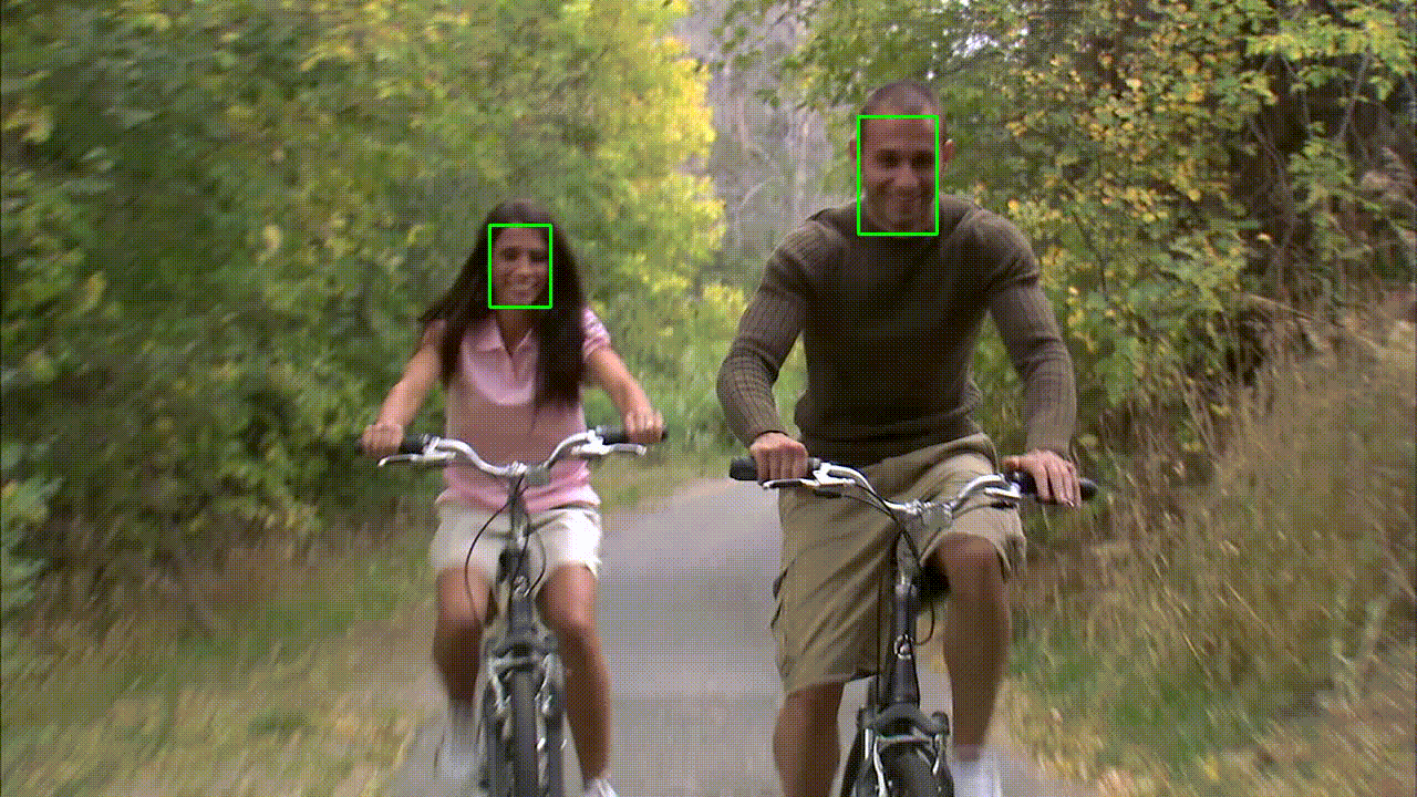 face_detection