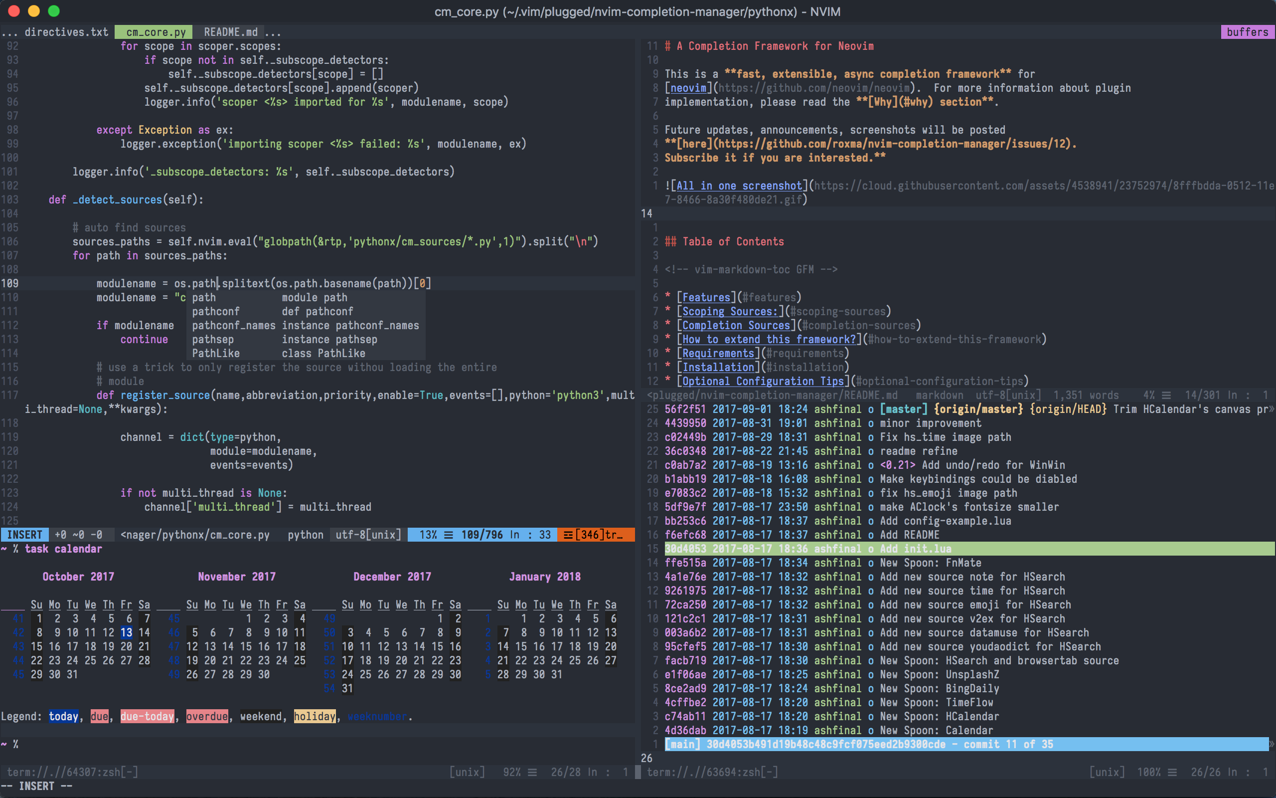 neovim_terminal