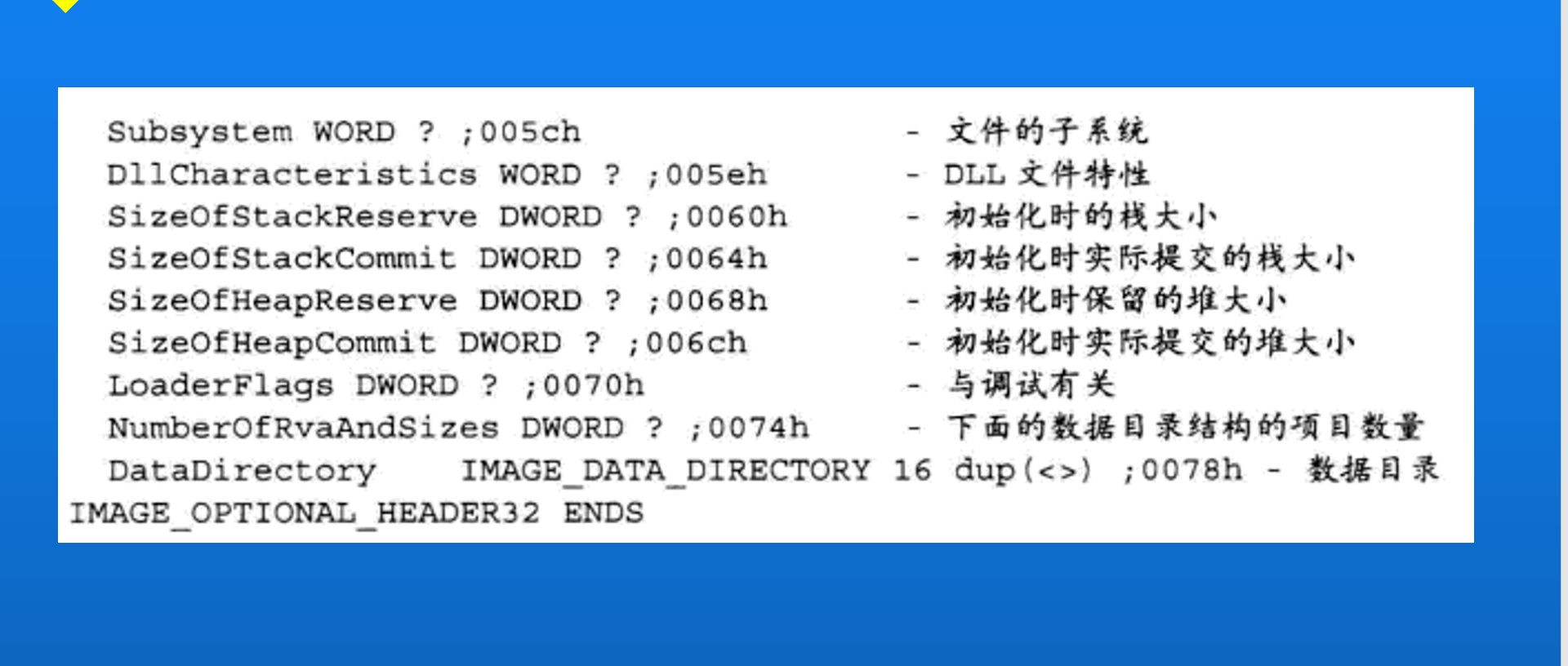 image-20241124191427964