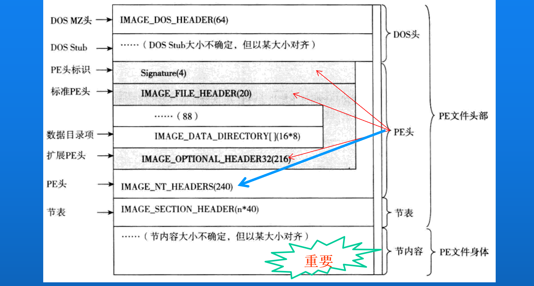 image-20241126161034551
