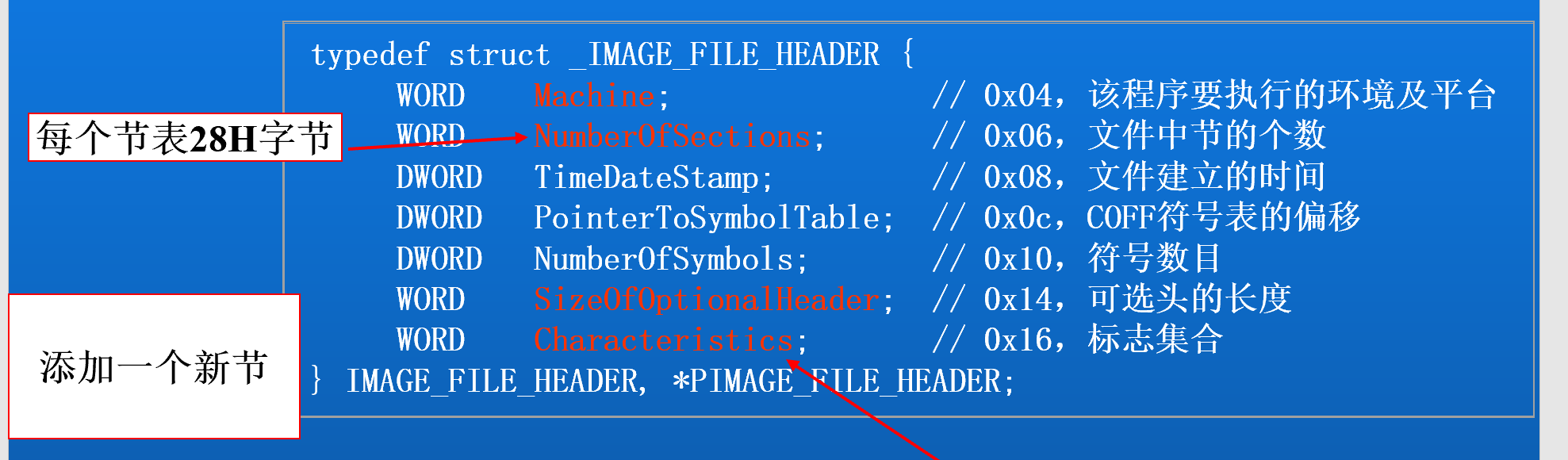 image-20241124190256491