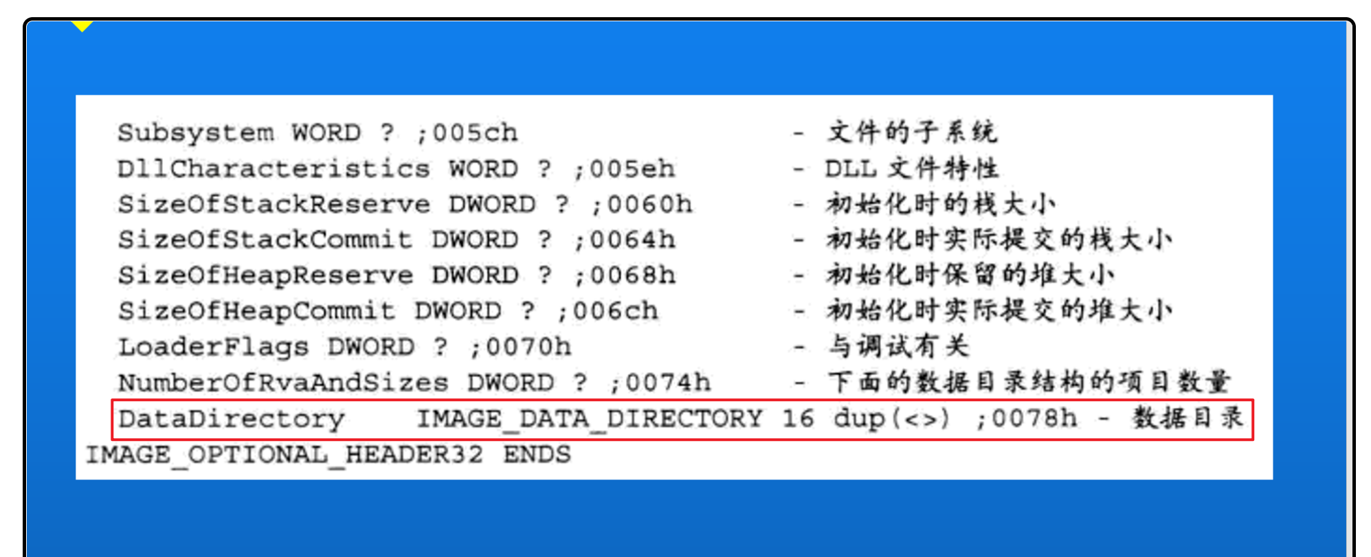 image-20241127115909912