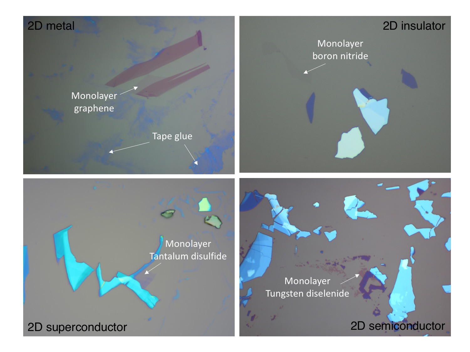 Courtesy of the Data Source: Prof. Pablo Jarillo-Hererro's group @ MIT Physics.