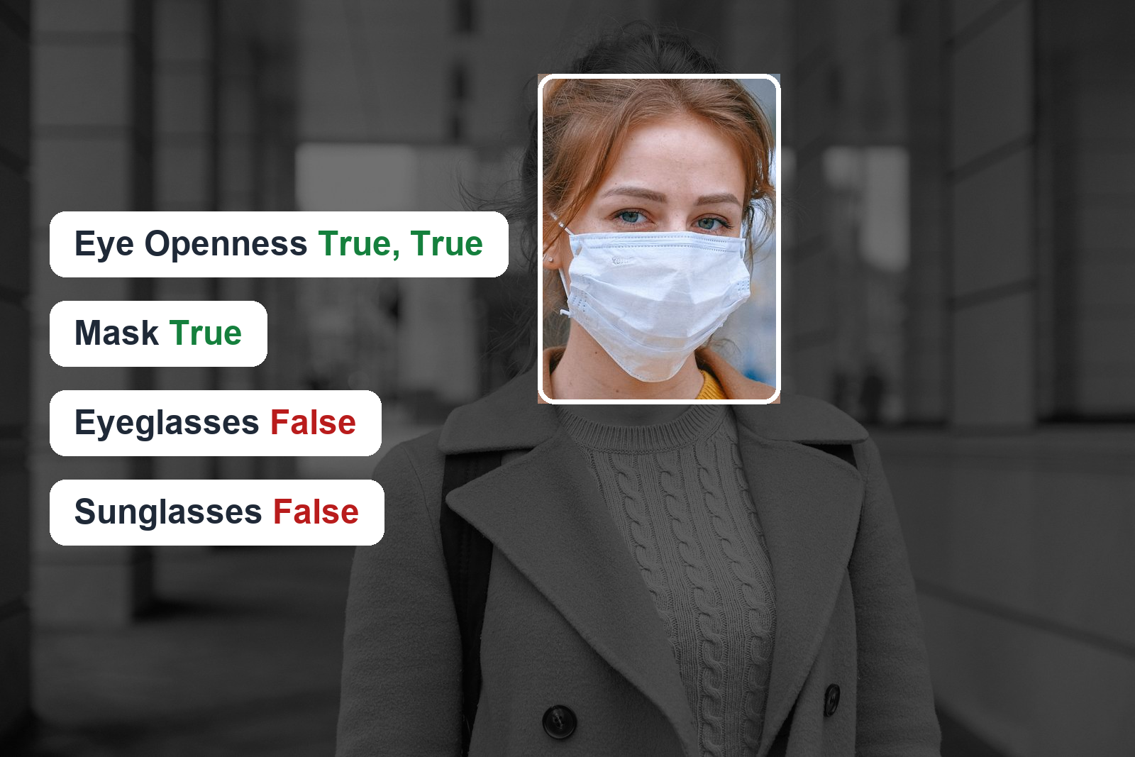 FaceAttribNet annotating a masked face with per-attribute True/False chips